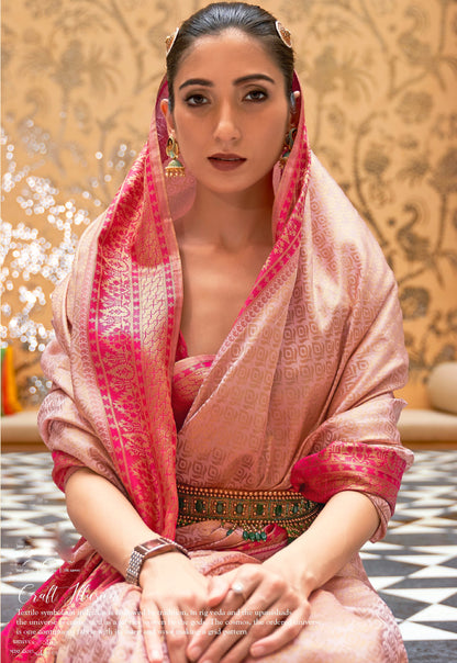 Beautiful Baby Pink Brocade Saree. - Panaash Saree